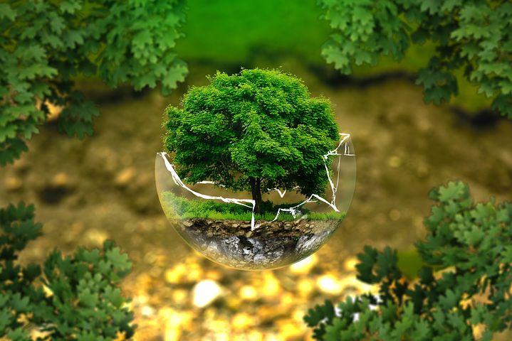 dessine moi une histoire des albums sur lenvironnement en nature photo albums